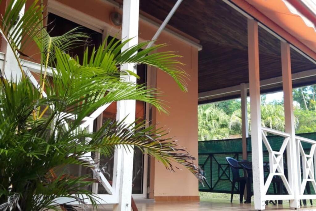 Residence Ti'Keol - Appartements Avec Terrasse 2 A 4 Personnes, Piscine Sainte-Anne Exterior photo